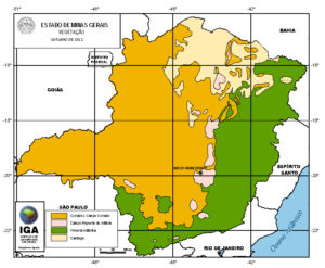 bushcraft-brasil-reino-unido-biomas-vegetacao-minas -gerais